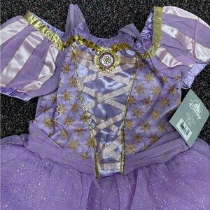 Authentic Disney Rapunzel Dress